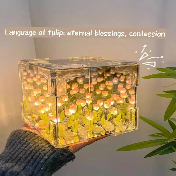 Treasurry’s | DIY Cube Tulip Lamp | 2-in-1 Mirror and Night Light